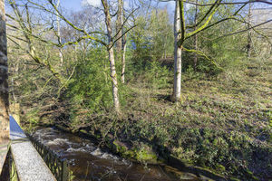 Photo 25- click for photo gallery